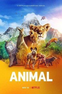 Animal (2021) Season 1 Hindi Dubbed Netflix Series download full movie