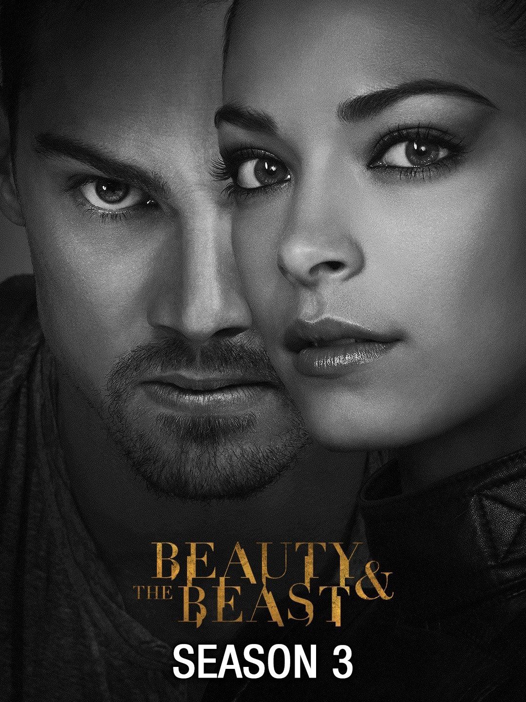 Beauty And The Beast (2015) Season 3 Hindi Dubbed Complete Series download full movie