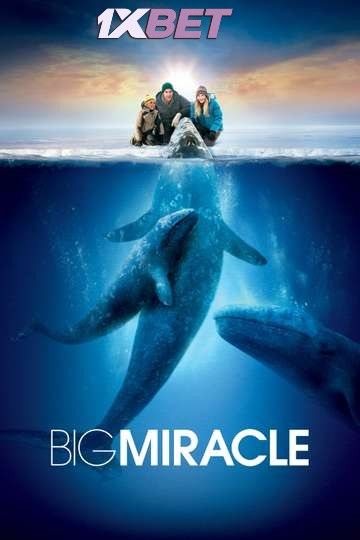 Big Miracle (2012) Hindi ORG Dubbed BluRay download full movie