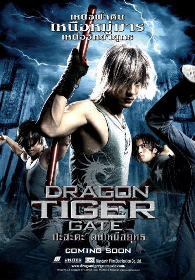 Dragon Tiger Gate (2006) Hindi Dubbed BluRay download full movie