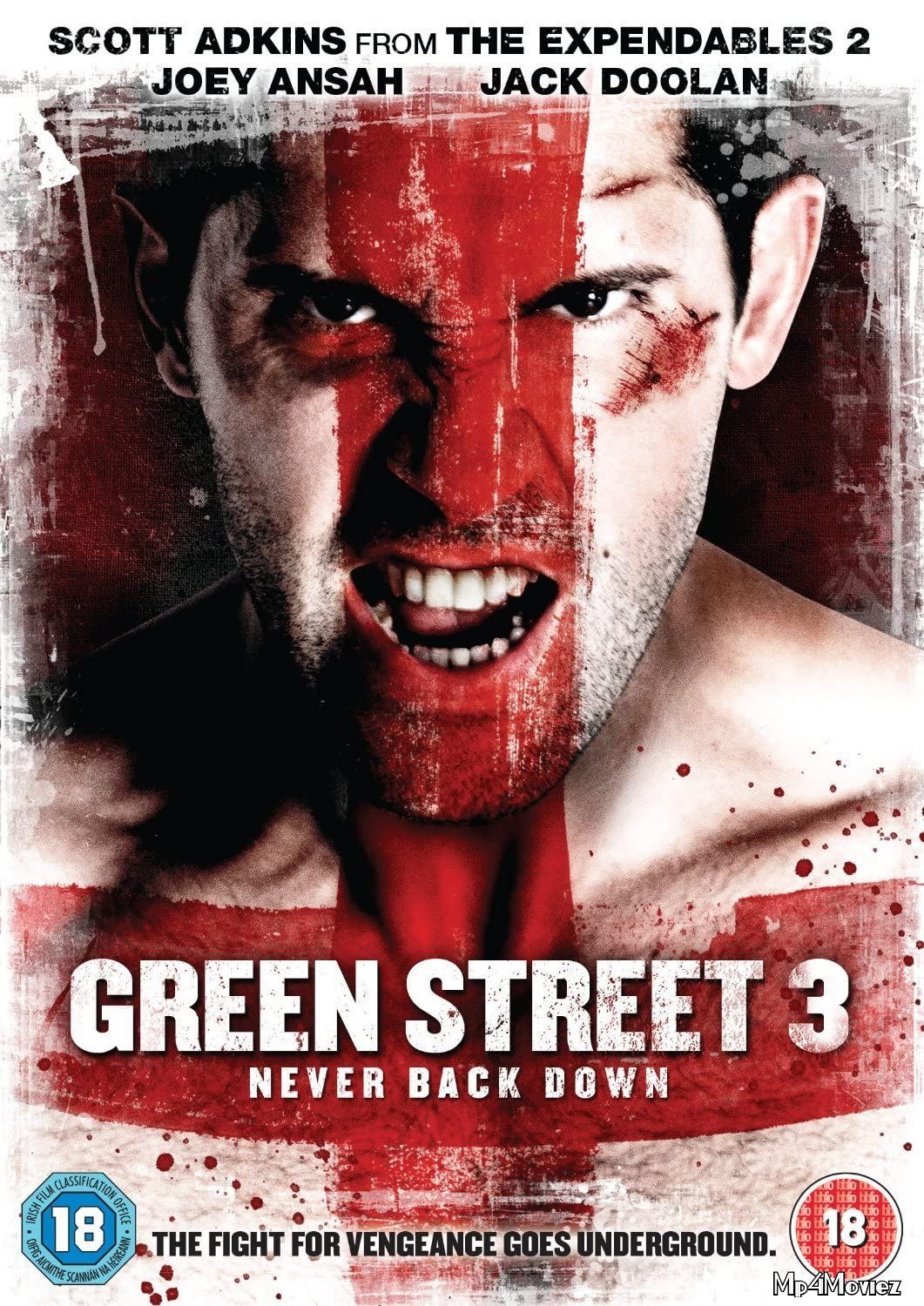 Green Street 3: Never Back Down 2013 Hindi Dubbed Full Movie download full movie