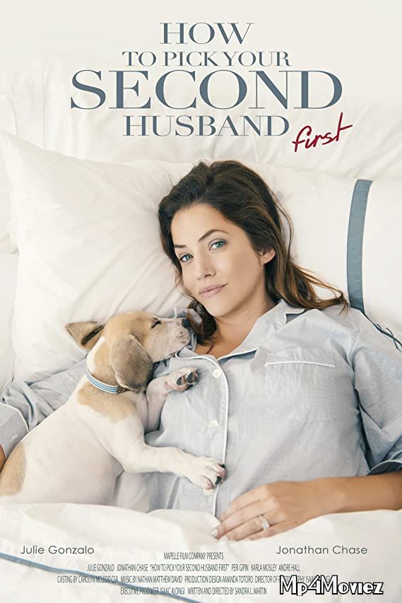 How to Train Your Husband (How to Pick Your Second Husband First) (2018) Hindi Dubbed Movie download full movie
