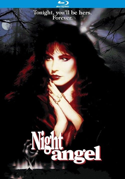 Night Angel (1990) Hindi Dubbed Movie download full movie