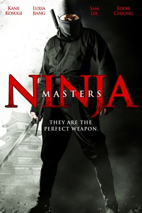 Ninja Masters (2009) Hindi Dubbed HDTVRip download full movie
