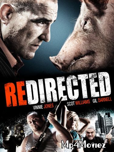 Redirected 2014 UNRATED Hindi Dubbed Movie download full movie
