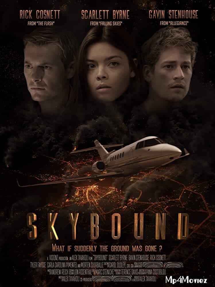 Skybound 2017 Hindi Dubbed Movie download full movie