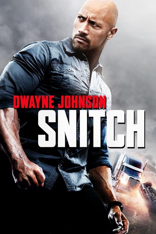 Snitch (2013) Hindi Dubbed BluRay download full movie