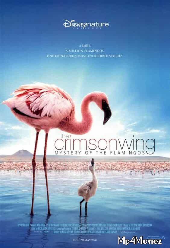 The Crimson Wing Mystery of the Flamingos 2008 Hindi Dubbed Full Movie download full movie