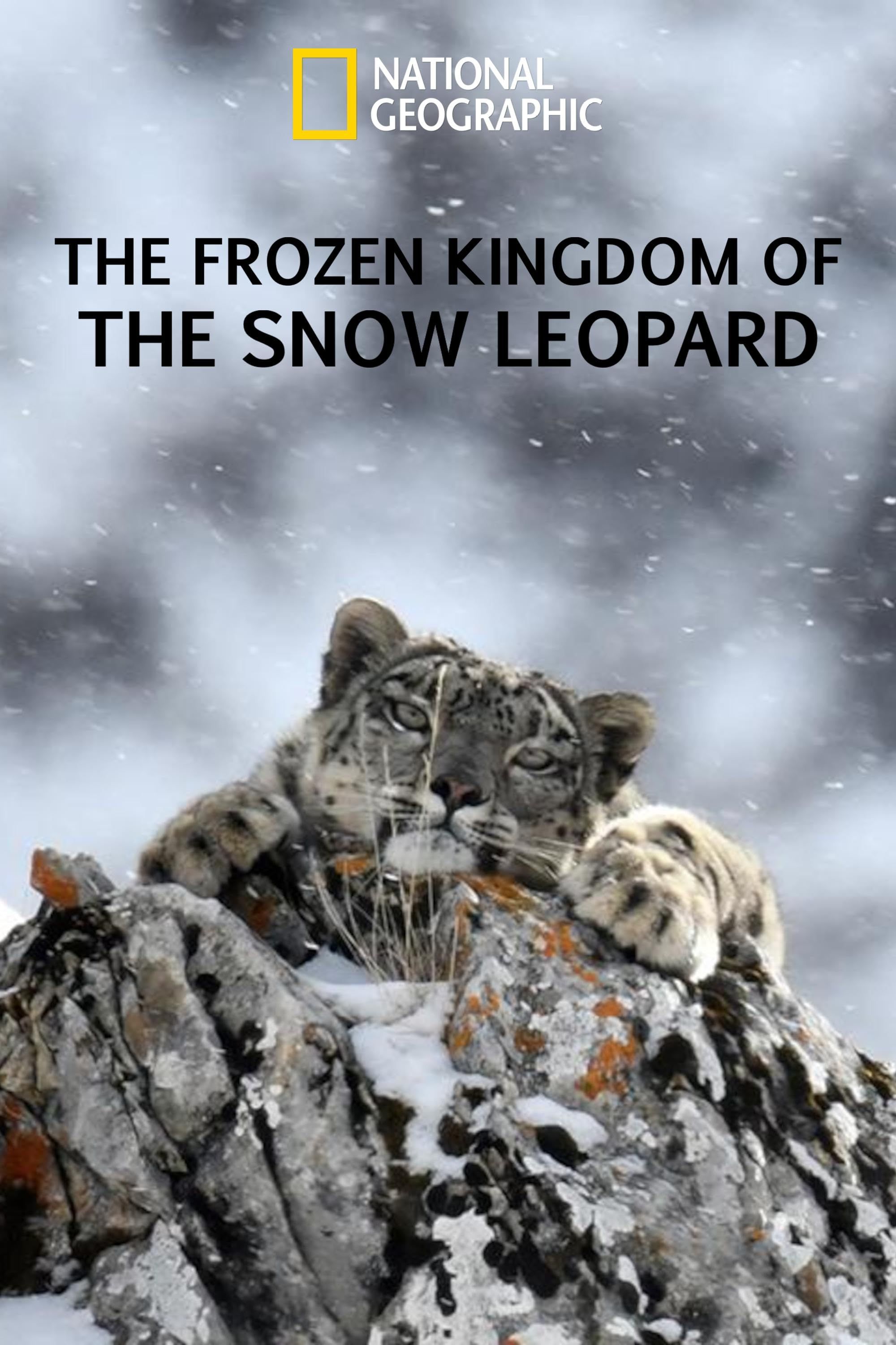 The Frozen Kingdom of the Snow Leopard (2021) Hindi Dubbed Movie download full movie