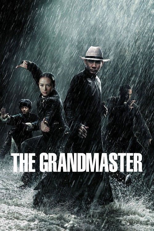 The Grandmaster (2013) Hindi Dubbed Movie download full movie