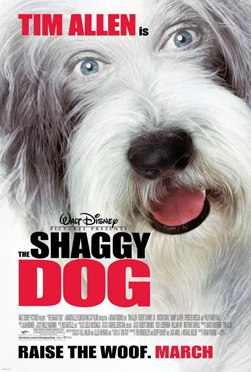 The Shaggy Dog (2006) Hindi Dubbed BRRip download full movie
